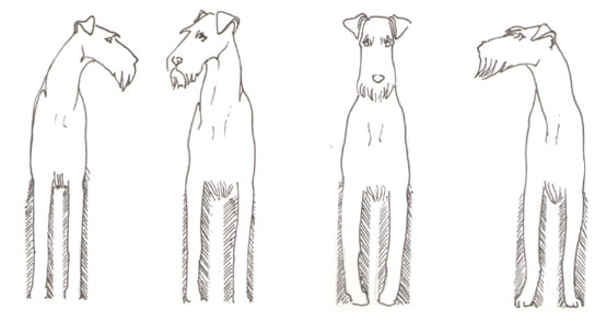 ag10.jpg