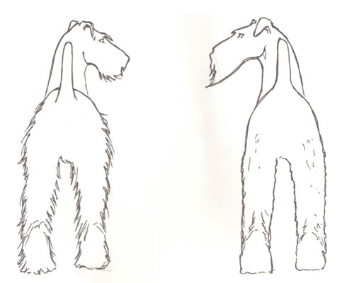 ag11.jpg