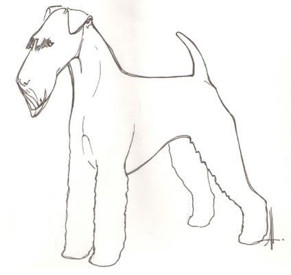 ag5.jpg