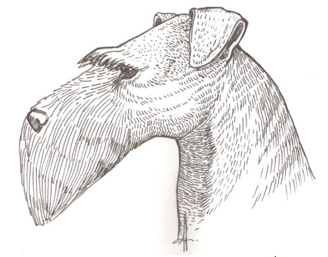 ag6.jpg