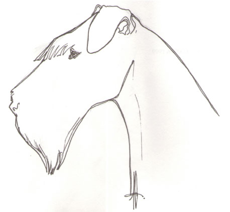 ag7.jpg