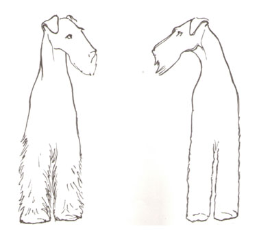 ag9.jpg