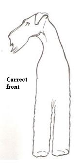 front.Eng